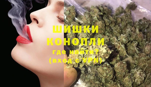 ГАЛЛЮЦИНОГЕННЫЕ ГРИБЫ Аркадак