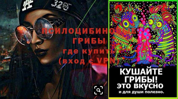 a pvp Алексин