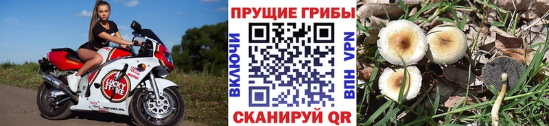 Псилоцибиновые грибы Magic Shrooms  Александров 